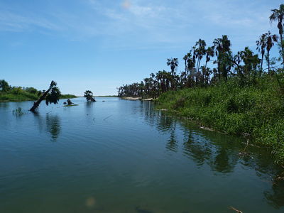 San Jose Estaury